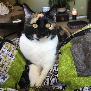 Meet your Posher, Julie